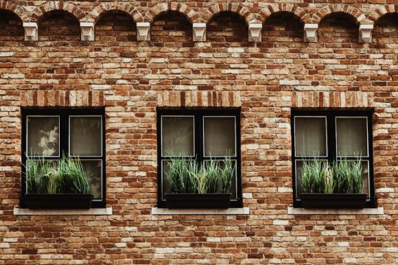 Window Treatments - a brick building with three windows with plants in them